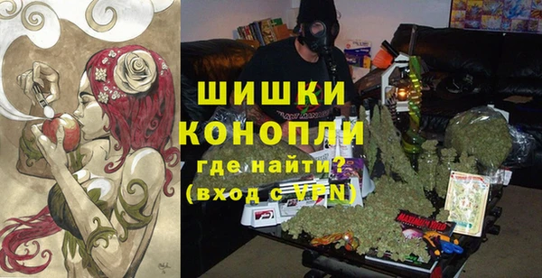 шишки Баксан