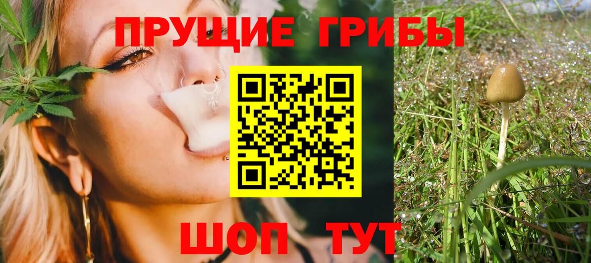 Нижневартовск  Галлюциногенные грибы мухоморы  Вход с VPN 