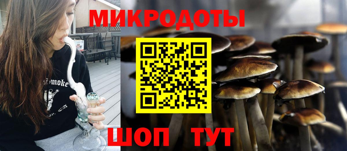 Галлюциногенные грибы Cubensis Нижневартовск